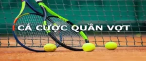 Kinh Nghiệm Cá Cược Quần Vợt DF999 Giúp Cược Thủ Thắng Đậm Nhanh