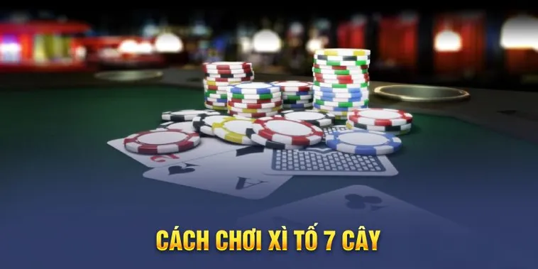 Chinh Phục Trò Chơi Xì Tố Tại DF999 Đỉnh Cao Chiến Thuật Và Làm Giàu